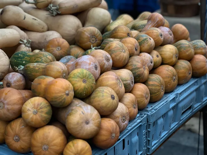 Eat What's Growing Right Now: Your Month-by-Month Seasonal Produce Playbook
