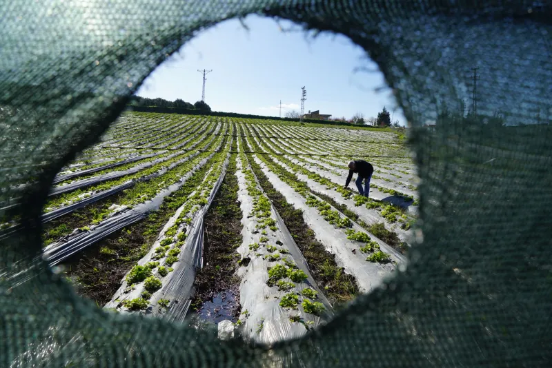 The Thin Margin: What It Really Takes to Keep a Small Farm Alive in America Today