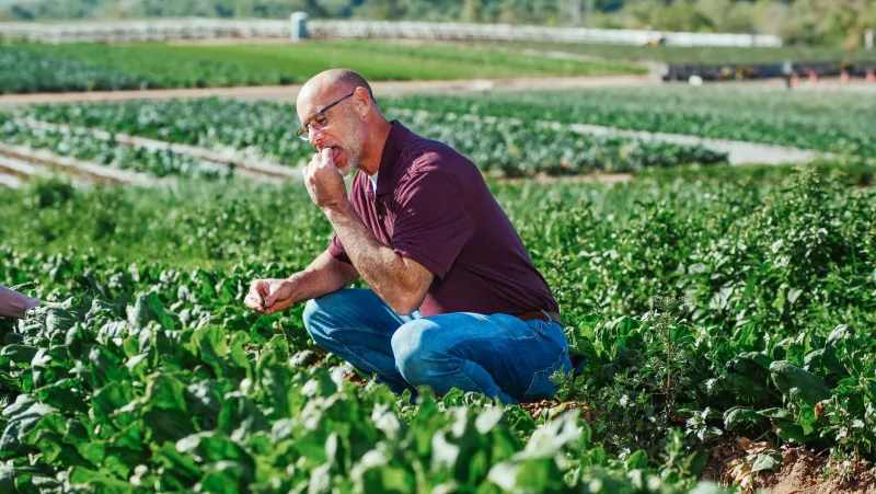Five Farms, Five Visions: The American Growers Quietly Changing How We Eat