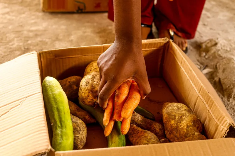 Roots and Revolution: How Young Americans Are Trading Grocery Aisles for Farm Connections