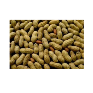 ಕಡಲೆಕಾಯಿ - Peanuts